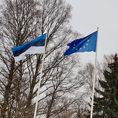Estlands flagga vajar bredvid Natos utanför Presidentens kansli i Tallinn.