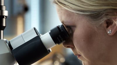Reetta Kivelä tittar i sitt mikroskop.