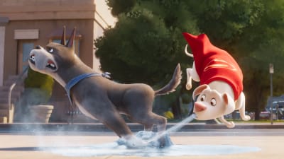 Ace och Krypto möts för första gången.
