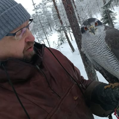 Metsästyshaukka Lotta ja omistajansa Markku Kallinen.