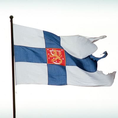 Suomen puolustusvoimien lippu