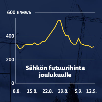 Grafiikka näyttää sähkön futuurihinnat joulukuulle. Elokuussa sähkön futuurihinnat nousivat jyrkästi noin 300 eurosta megawattitunnilta yli 500 euroon, ja elokuun lopulta syyskuun puoliväliin laskivat jyrkästi noin 300 euroon.