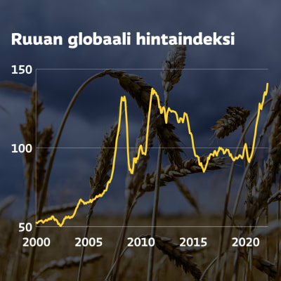 Grafiikka näyttää, kuinka ruuan globaali hintaindeksi on noussut ennätyskorkealle helmikuussa 2022.