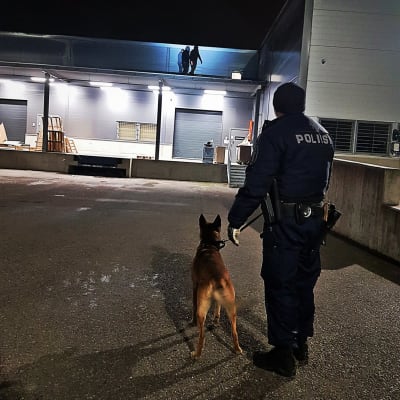 Polis med hund tittar på tre personer uppe på ett tak.