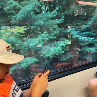 Kosti ja Kaarle Kovala istuvat junassa, ikkunasta näkyy sveitsiläistä metsämaisemaa.