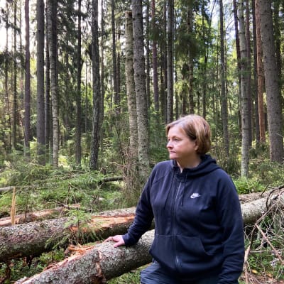 Paula Elomaa står i Linnaisskogen och blickar ut över fällda trädstammar.