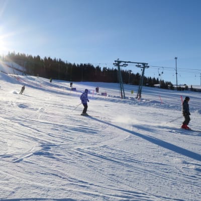 Laskettelijoita rinteessä.