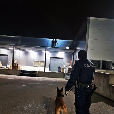 Polis med hund tittar på tre personer uppe på ett tak.