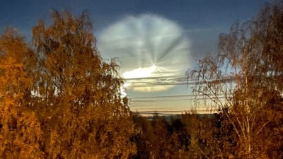 Ljusfenomen på himlen. Bilden är tagen av Helena Kosonen på måndagsmorgonen.