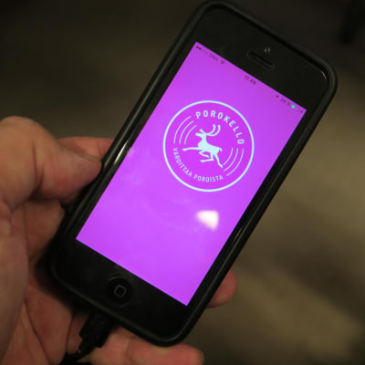 Poroista varoittava Porokello -mobiilisovellus on nyt asennettavissa Apple ja Android älypuhelimiin.