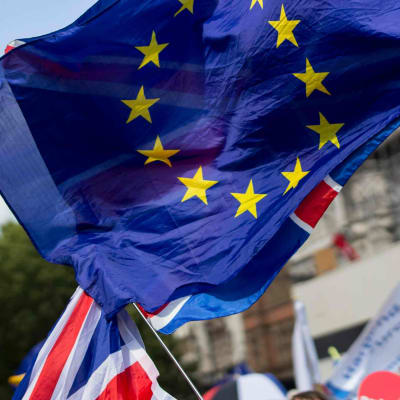 Demonstration emot brexit.