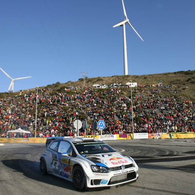 Rally