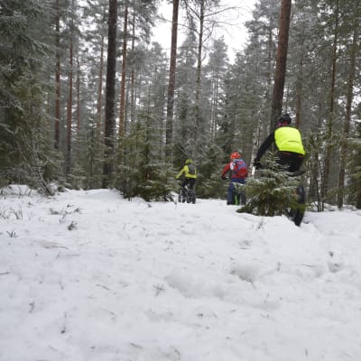 Maastopyöräilijöitä talvisessa metsässä