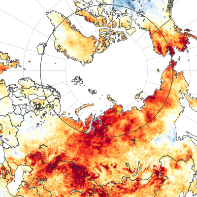 NASA-karta över värmebölja i Sibirien 19-20.6.2020