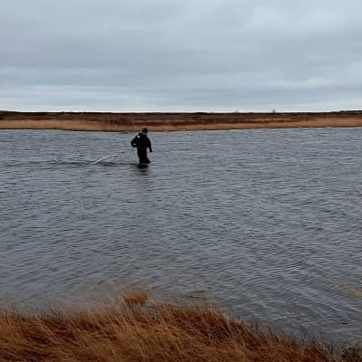 en man står i grund vatten och lägger ut nät