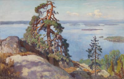 Maalauksessa avautuu maisema Kolin huipulta, metsää ja järviä.