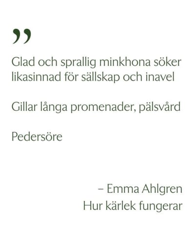 Citat ut Emma Ahlgrens prosasamling "Hur kärlek fungerar".