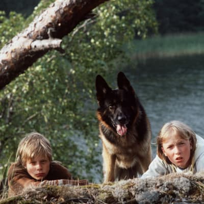 Miza Oinonen, joka esittää Ranea, susikoira Roi ja Paavo Westerberg, joka esittää Tomia.