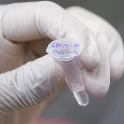 Kumihanskaa käyttävällä tutkijalla on kädessään Covid-19-tautia vastaan kehitettävä rokote.