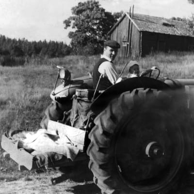 Man som kör en traktor i Porkala efter återkomsten.