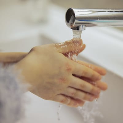 Käsiä pestään.