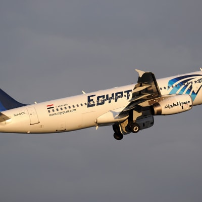 Det störtade passagerplanet var av samma typ som detta plan - en Airbus A320. Utredarna hoppas att de svarta lådorna kan ge svar på frågan om varför planet störtade