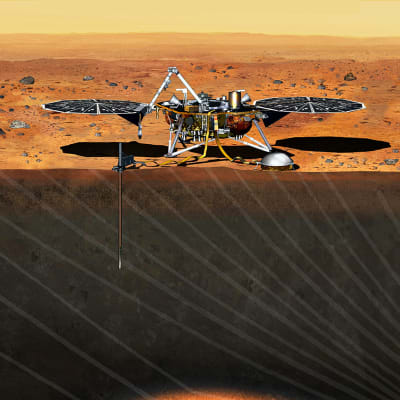 Skissad bild på hur Insight kommer att se ut på Mars yta. 