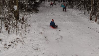 Barn i pulkbacke