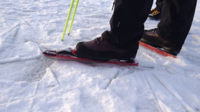 Så här kan långfärdsskrinnarna se ut
