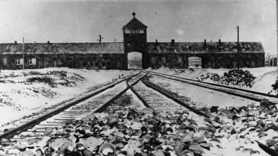 Infarten till Auschwitz 1945 efter befrielsen.