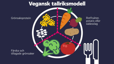 Vegansk tallriksmodell i enlighet med THL:s rekommendationer för barnfamiljer