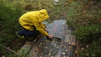 Dora Siivonen tar vatten ur brunnen, 2013