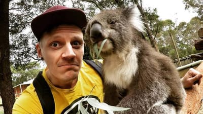 Daniel Enbacka och en koala, i Australien.