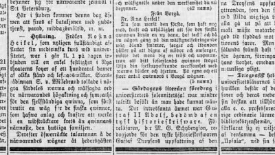 Den 24 oktober 1878 berättade Hufvudstadsbladet att ett hundratal kvinnor hade samlats vid Nya teatern för att fira Rosina Heikel.