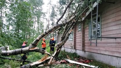 Ett träd har fallit på ett hus i skogen, brandkår på plats med fyra brandmän på marken.