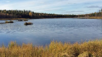 Ylä-Lumijärvi är en av de förorenade sjöarna nära Talvivaaragruvan.