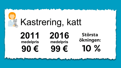 Priset på kastrering av katter. 2011 var medelpriset 90 € och 2016 var det 99 €.