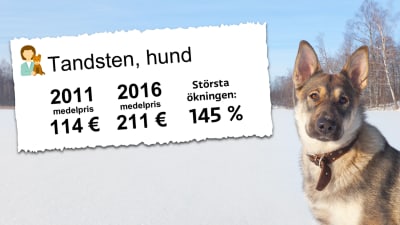 Priset på tandstensputsning för hundar. 2011 medelpris 114 €, 2016 medelpris 211 €.