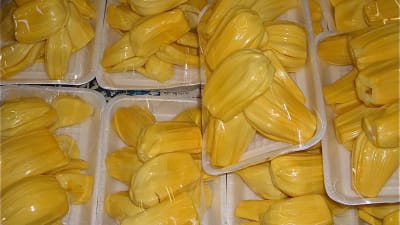 Inpaketerat fruktkött från jackfrukt.