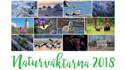 Pärmbilden på Naturväktarnas kalender 2018 med kollage av naturbilder
