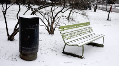 En parkbänk bredvid ett sopkärl i en park i Helsingfors.