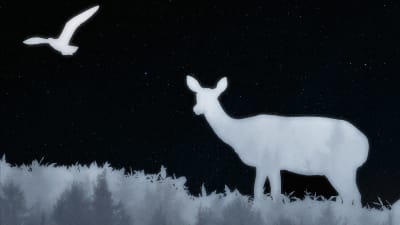 Djur i skogen