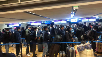 En stor grupp asiatiska resenärer med munskydd på flygplats.