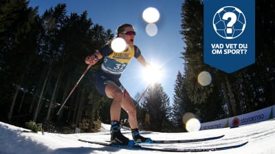 Yle Sportens helgquiz med bland andra Jessie Diggins.