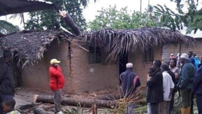 Flera människor betraktar hur stormen fällt ett träd över ett hus och skadat dess tak.