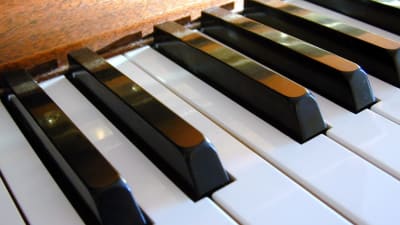 pianotangeter