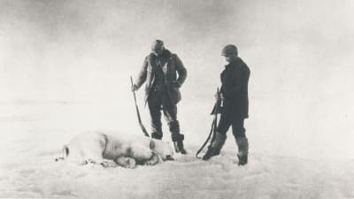 Fraenkel och Strindberg med den första isbjörn de sköt utanför Svalbard.