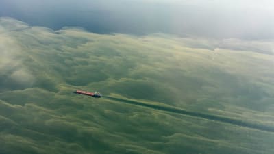 Ett fraktfartyg åker sydväst om Hangö med en enorm mängs blågröna alger blandat i vattnet.