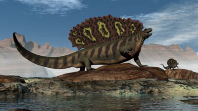Konstnärens föreställning av en edaphosaurus från perm-perioden.