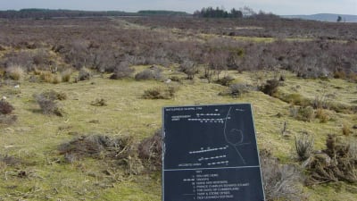 Slagfältet vid heden Culloden i Skottland med ett plakat om trupplinjerna. Slaget inträffade den 16 april 1746 och blev det sista jakobitiska upproret.